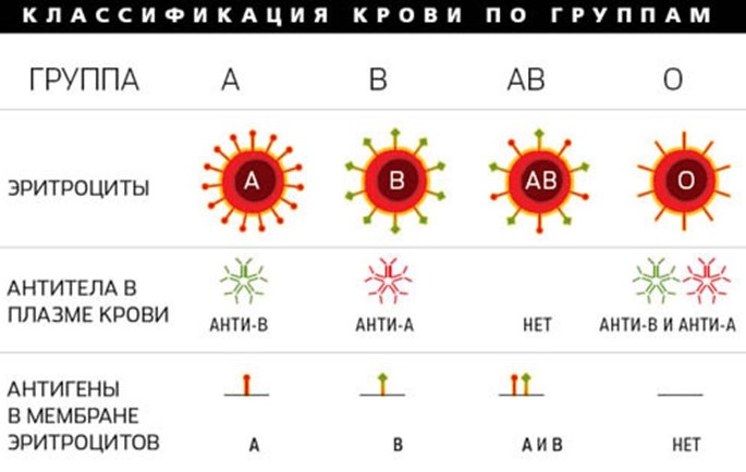Классификация крови по группам