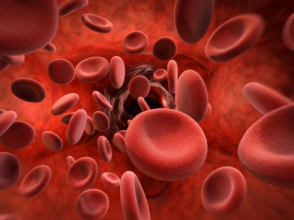 Самая редкая группа крови в мире